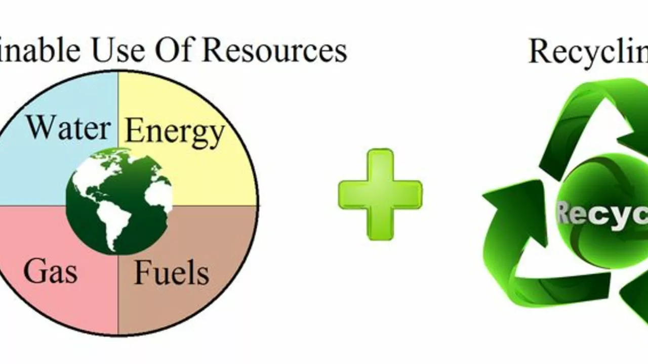 What are natural resources? How can they be conserved?